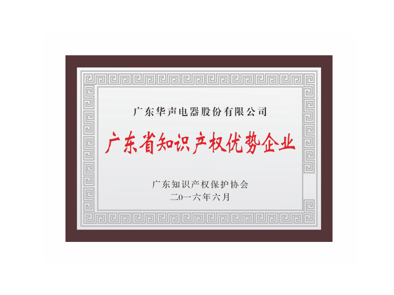 广东省知识产权优势企业
